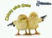 [obrazky.4ever.sk] chicks with guns 6749598